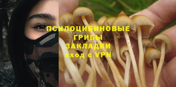 молекула духа Аркадак