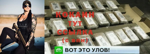 прущие крисы Арсеньев