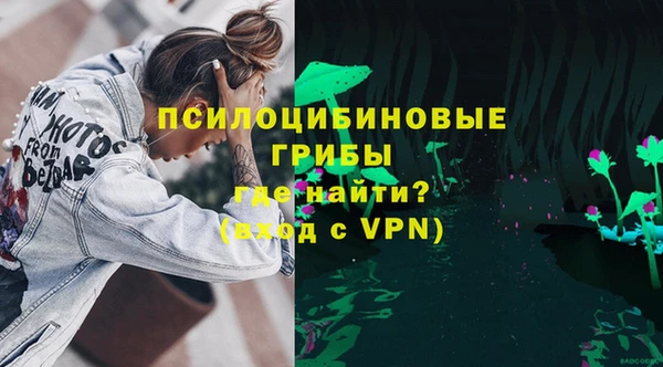 прущие крисы Арсеньев
