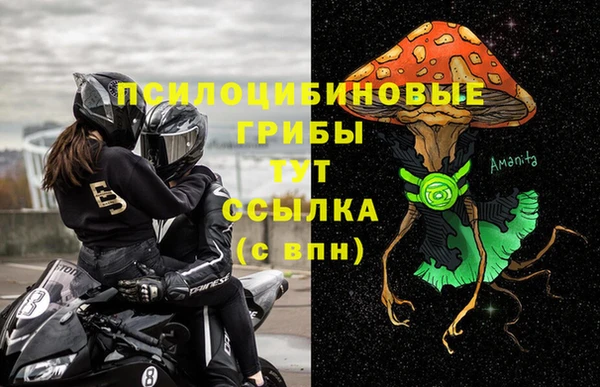 прущая мука Сатка