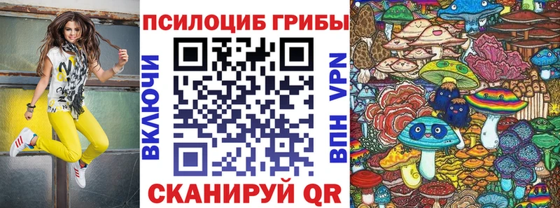 как найти   Артёмовск  Псилоцибиновые грибы мухоморы 