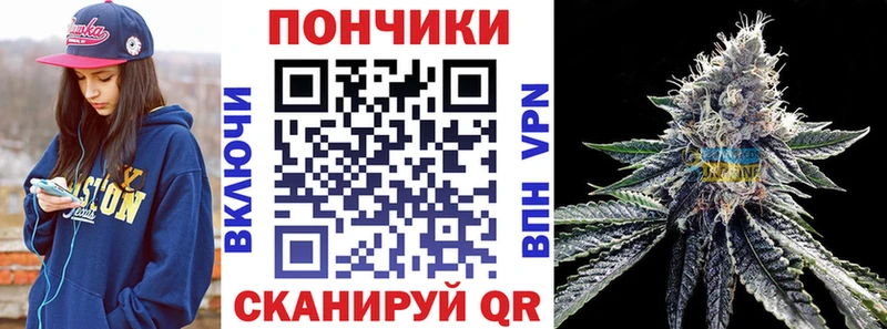 Канабис план  купить   Артёмовск 